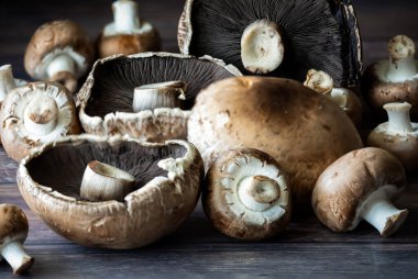 Bir grup Portobello ve kremini mantarı koyu bir arka plana yakın çekim. 