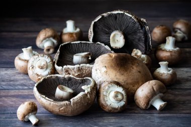 Koyu bir arka plan karşısında organik portobello ve kremini mantar çeşitleri.. 