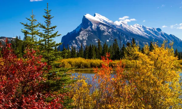 stock image A scenic view of Rundle mountain in Banff National park on a sunny fall day with colourful trees and shrubs in front.