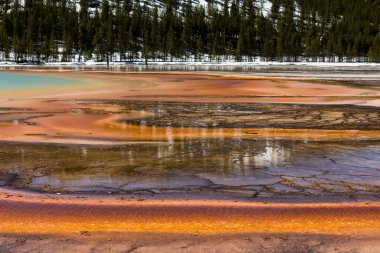 Yellowstone Ulusal Parkı 'ndaki renkli Grand Prismatic Springs' in manzarası. 