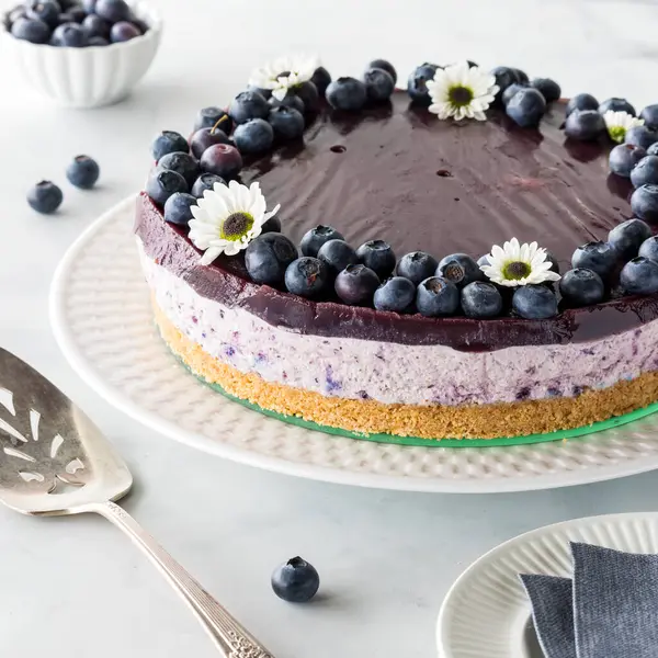 stock image A creamy layered blueberry cheesecake topped with blueberries and daisy blossoms.