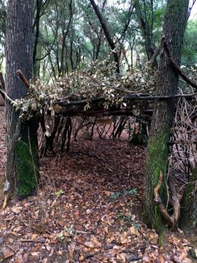 Avcı kulübesi şeklinde bir av kulübesi..