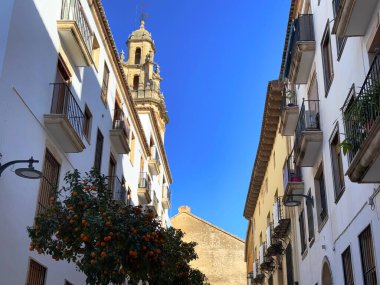 Pego, Alicante, İspanya 'nın tarihi merkezinde bir tarafında portakal ağaçları olan pitoresk bir cadde. Kilise ve çan kulesi arka planda duruyor, parlak mavi bir gökyüzünün altında..