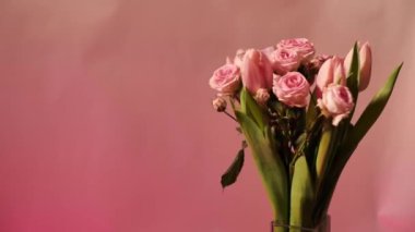 Bahar çiçekli lale, pembe arka planda yükselen, yakın plan, Uluslararası Kadınlar Günü için fotokopi alanı. Anne, eş, kız kardeş, kız kardeş, büyükanne için buket