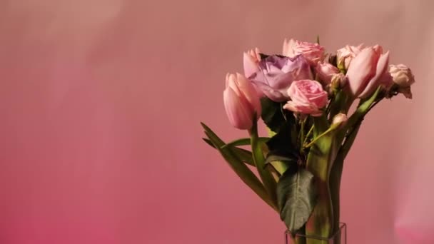 Jarní Květiny Tulipán Růže Růžovém Pozadí Které Rotují Close Kopírovat — Stock video