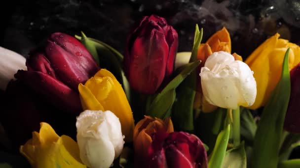 Virágárus Létrehoz Egy Csokor Tavaszi Virágok Színes Tulipán Vízcseppekkel Kapcsolja — Stock videók