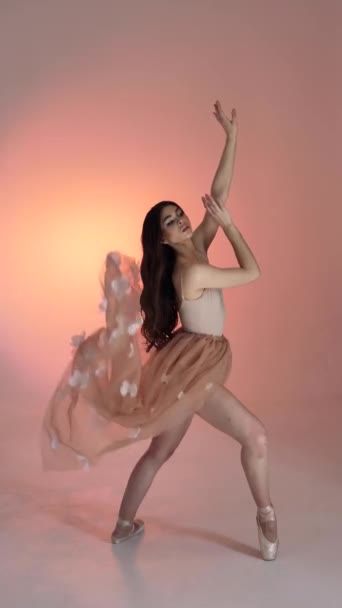 Ung Kvinna Ballerina Flicka Dans Poserar Fotostudio Vid Fotografering Försiktigt — Stockvideo