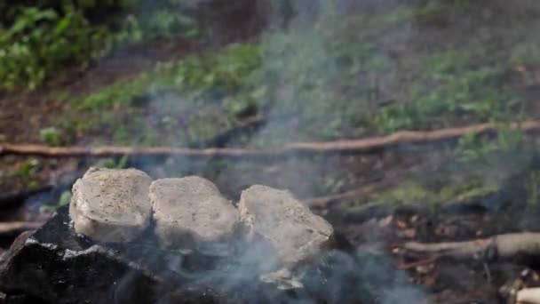 一个手下人在森林里的岩石上煮肉 准备牛排 近距离远足 野外自然烹调时的篝火和火 — 图库视频影像