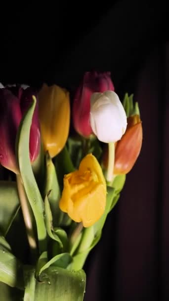 Florista Cria Buquê Flores Primavera Tulipas Coloridas Virar Close Verde — Vídeo de Stock
