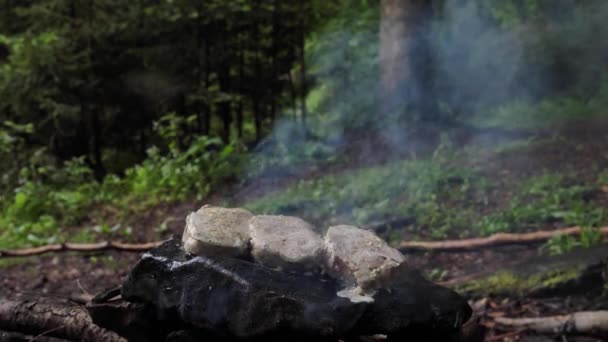 Ręka Gotuje Mięso Przyrządza Steki Skale Lesie Podczas Spaceru Bliska — Wideo stockowe