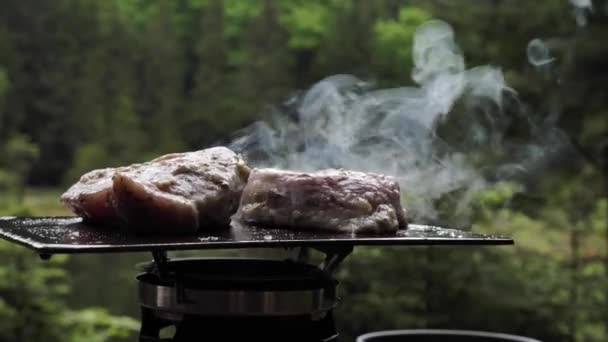 Vaření Masa Příprava Steaků Integrovaném Systému Hořáky Lese Zblízka Výlet — Stock video