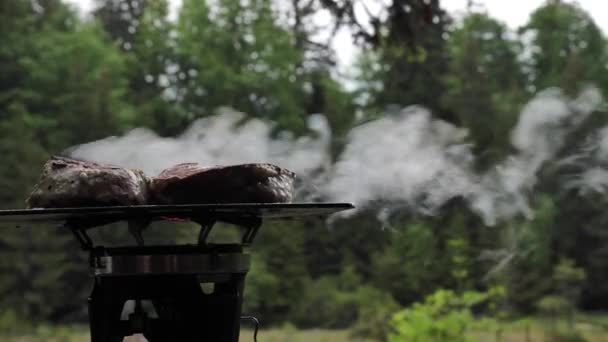 烹调肉类 在综合系统上蒸煮 在森林中燃烧 在自然界中的替代网格上近距离远足 — 图库视频影像