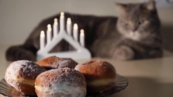 Шотландский Прямоухий Кот Празднует Еврейский Праздник Хануки Дома Сладкими Пончиками — стоковое видео
