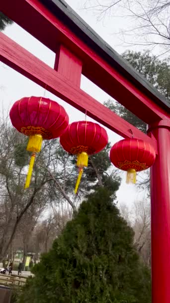 中国の正月の赤いランタンと橋 ランタンの祝福は富と幸福を意味します バーティカル — ストック動画