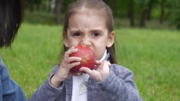 一个迷人的小女孩喜欢在公园里吃一个又脆又红的苹果 这个女孩的棕色头发绑在马尾辫上 春天或夏天 她在绿树成荫的草地上 — 图库视频影像