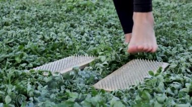 Çıplak ayaklı bir kadın çimlerin arasında çivili sadha tahtasının üzerinde duruyor. Ruhsal meditasyon doğada. Yakın plan.