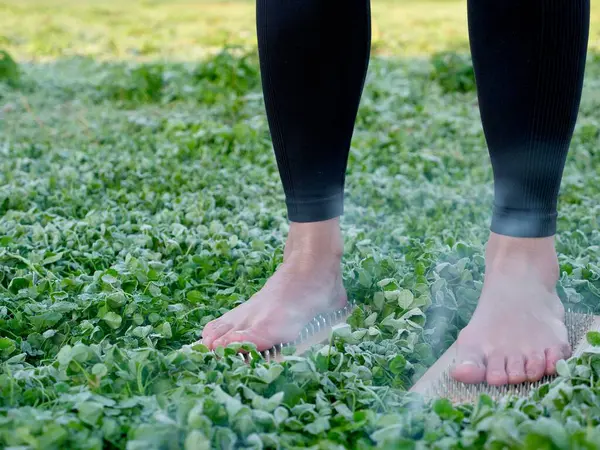 Çıplak ayaklı bir kadın çimlerin arasında çivili sadha tahtasının üzerinde duruyor. Ruhsal meditasyon doğada. Yakın plan.