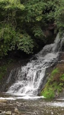 Chervonohorod Dzhuryn Şelalesi yazın Ukrayna 'da. Karpat Dağları 'nı gezmek Bulutlu serin hava, dikey