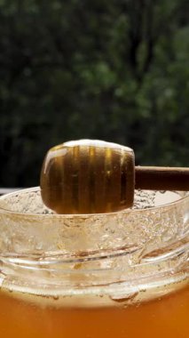 Güneşli bir günde geleneksel Yahudi bayramı olan Rosh Hashana 'da ekolojik bir tahta kaşıkla kavanozda bal arısı. Yakın çekim, dikey