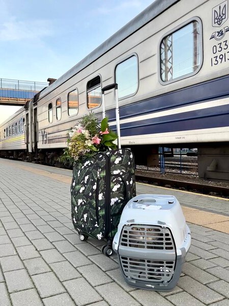 Чемодан с тропическим принтом и красивый букет цветов, вместе с питомцем, стоящим на железнодорожной платформе рядом с вагоном.