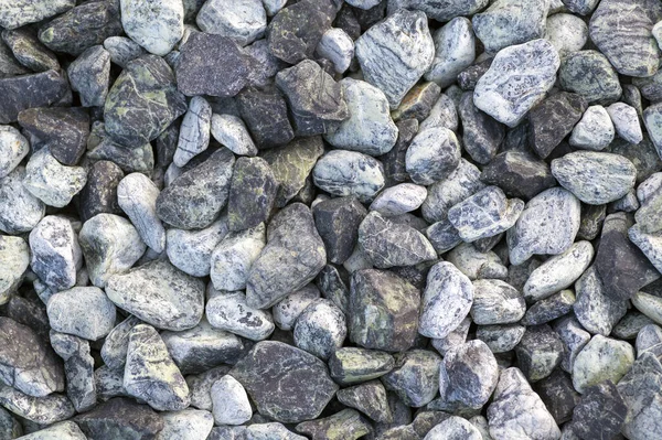 Gravel Gray Pebble Stones Top View — Stock Photo, Image