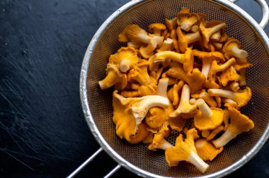 Siyah arka plandaki süzgeçte taze toplanmış mantarlar..