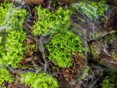 Yeşil ve kırmızı çeşitleri de içeren taze ve karışık salata yapraklarının açık plastik ambalajlı, pazarda satışa hazır görüntüsü. Yapraklar canlı ve çekici..