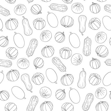 El çizimi kabak çizgisi sanat vektörü pürüzsüz desen