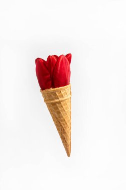 Ice cream cone with red tulip flower petals. Minimal spring concept.