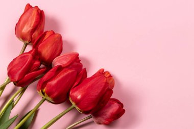 Red tulips flowers on pink background. Top view, flat lay, copy space.