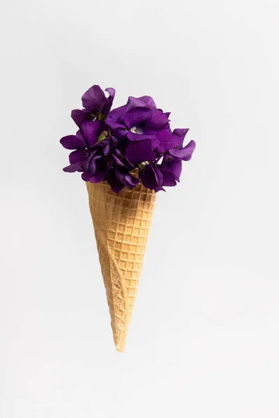 Ice Cream Cone Wild Violets White Background Spring Flowers Concept — 스톡 사진