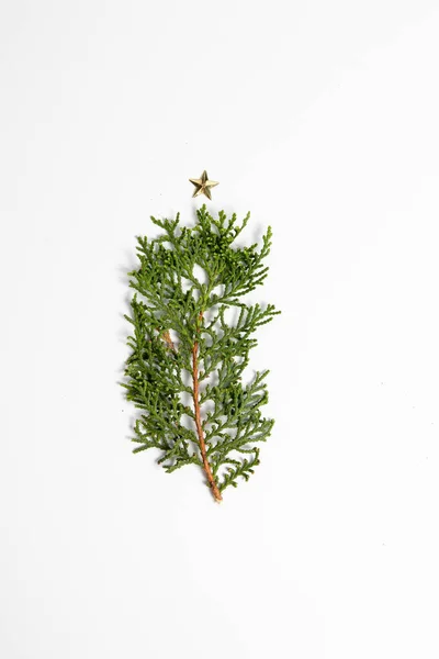 Christmas Tree Made Evergreen Tree Branch Gold Star White Background — Stock Photo, Image