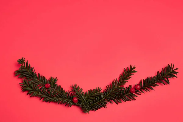 Yew Branches Layout Bright Red Background — Stock Photo, Image