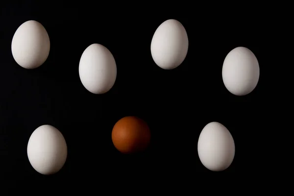 Jedno Brązowe Jajko Białymi Jajkami Czarnym Tle — Zdjęcie stockowe