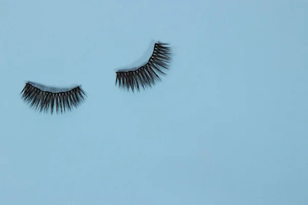 False black eyelashes on a blue background.Top view, flat lay, copy space.