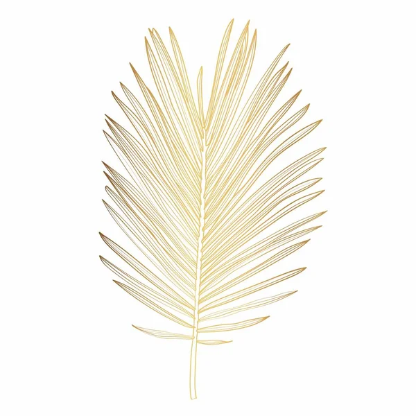 Palmblätter Goldene Linie Mit Zeichnung Linie Art Illustration Isoliert Auf — Stockvektor