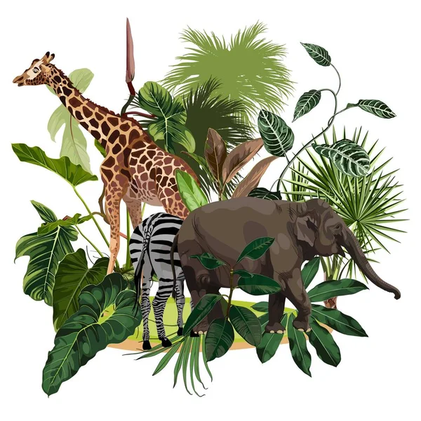 Sezon Streszczenie Natura Baner Tło Rośliny Dżungli Słonie Zebra Żyrafa — Wektor stockowy