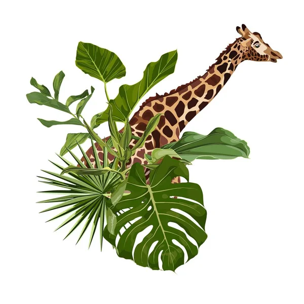 Sezon Streszczenie Natura Baner Tło Rośliny Dżungli Kreskówkowe Zwierzę Żyrafowe — Wektor stockowy