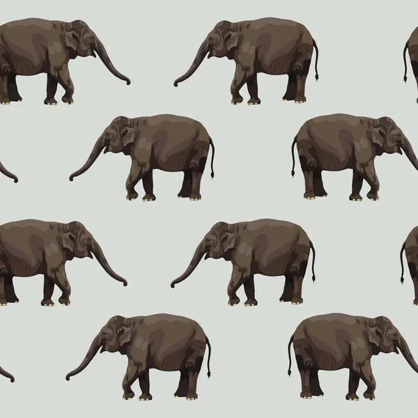 아프리카 사바나 코끼리의 가시없는 무늬입니다 아프리카와 인도의 — 스톡 벡터