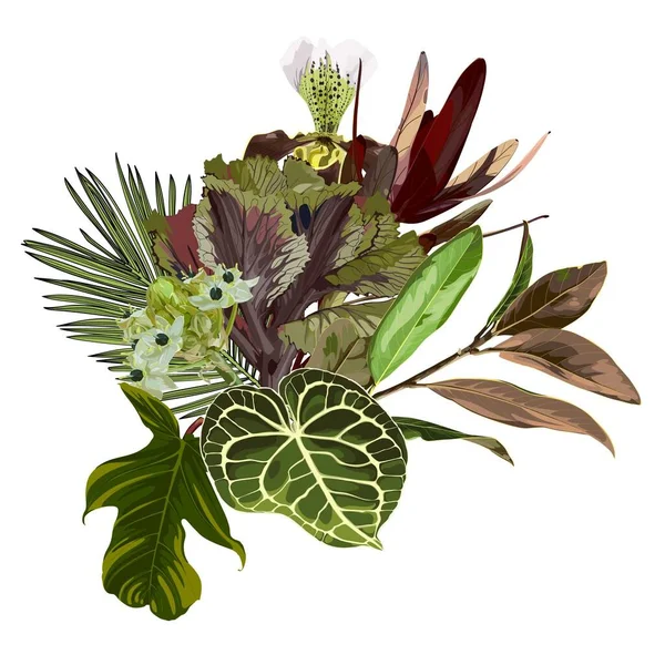 Tropiska Gröna Blommor Grenar Och Exotiska Blad Sammansättning Över Vitt — Stock vektor
