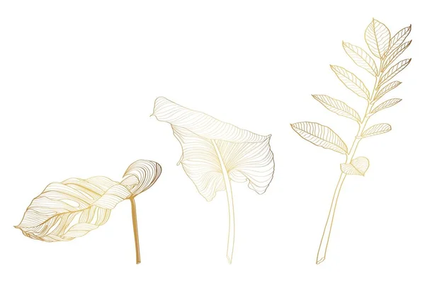 Goldene Tropische Palmenblätter Isoliert Auf Weißem Hintergrund Palmblatt Skizze Exotische Stockillustration