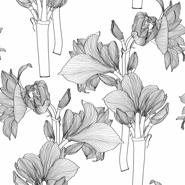 Amaryllis Hipperastrum Lilly Blooming Flowers Seamless Pattern Black Line Flowers — Stock Vector