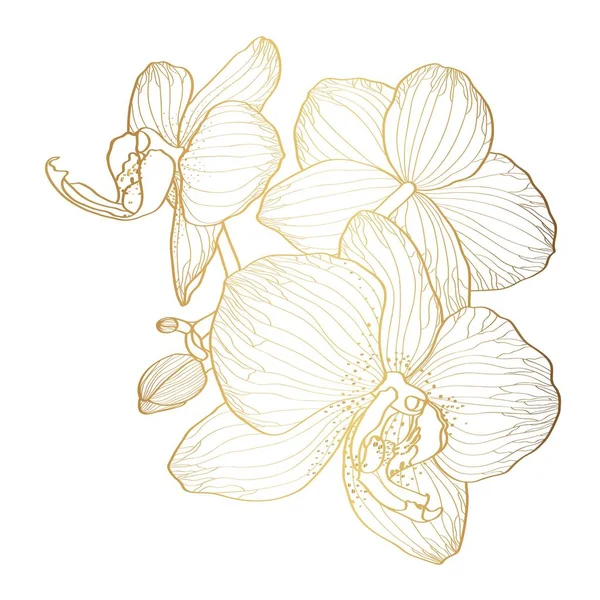 Blume Der Linie Tropische Orchidee Goldene Tinte Illustration Zweig Isoliert lizenzfreie Stockvektoren