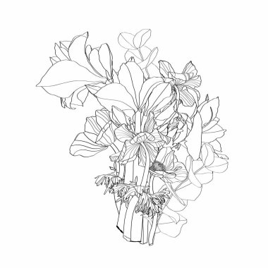 Siyah beyaz çizgili çiçek buketleri çizim tarzında bahçe çiçekleri ve böcekler çiziyordu..