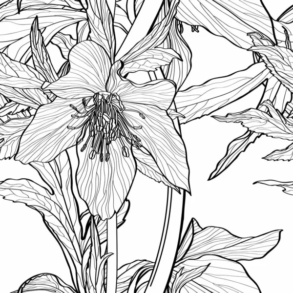 Κομψό Μοτίβο Χωρίς Ραφή Ζωγραφισμένη Στο Χέρι Γραμμή Ανεμώνη Λουλούδια — Διανυσματικό Αρχείο