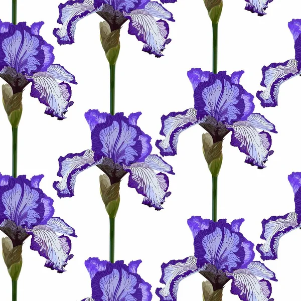 Virágmintás Zökkenőmentes Minta Lila Virágzó Írisz Virágokkal Természet Háttér Szövet — Stock Vector