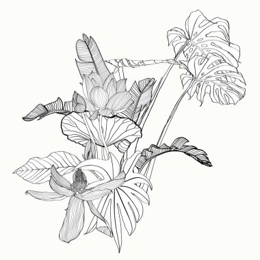 Çizgili el yapımı palmiye yaprağı, bahçe çiçekleri ve çizim tarzında böcekler olan tropikal buketler..