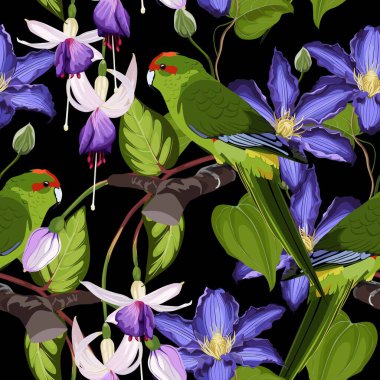 Tropik kuşlar papağan, egzotik orman bitkileri, yapraklar, çiçekler soyut, pürüzsüz siyah arka plan.