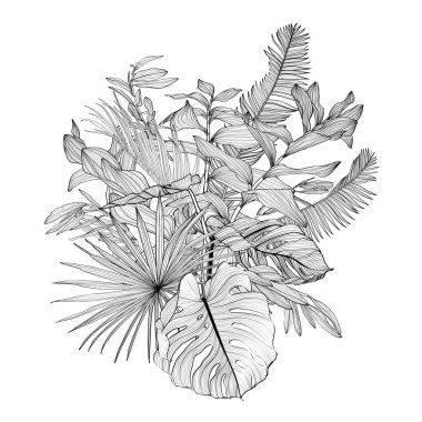 Çizgili el yapımı otlarla süslü buketler, çizim tarzında tropik palmiye yaprakları ve böcekler..