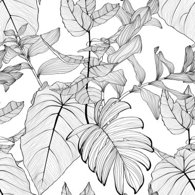 Süleyman 'ın mührü (poligonatum multiflorum), palmiyeler ve canavar yaprağı çizimi ile kusursuz desenli arka plan. Egzotik tropikal çizgi çizimi.